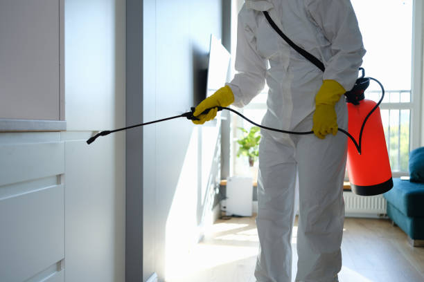 Best Mold Remediation  in Berkley, MI